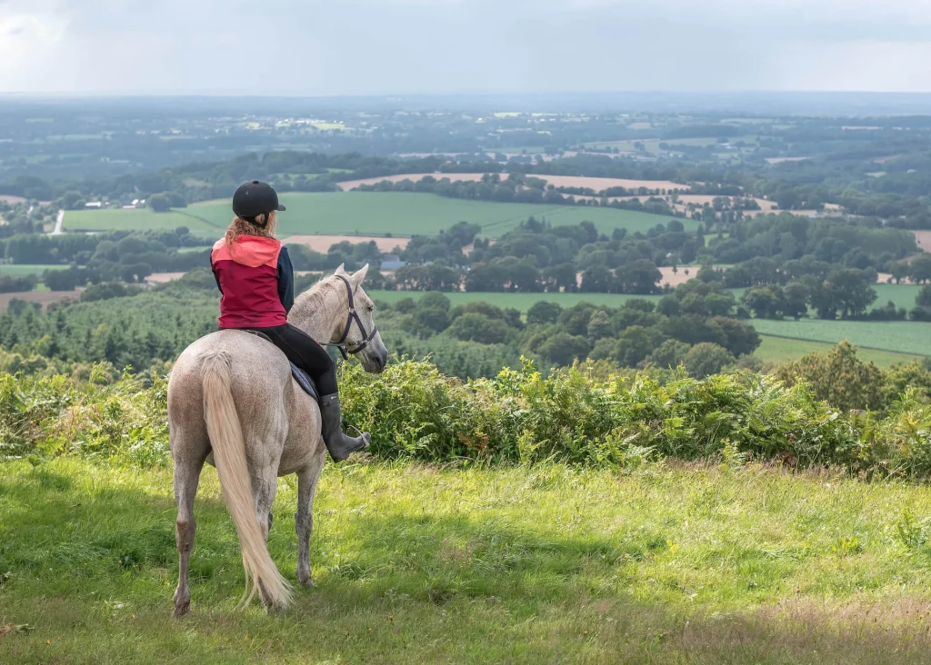 Randonnée à cheval en Mayenne sur la colline du Montaigu à Hambers