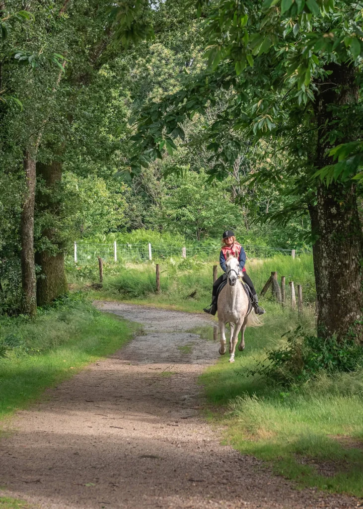 Balade à cheval au Montaigu