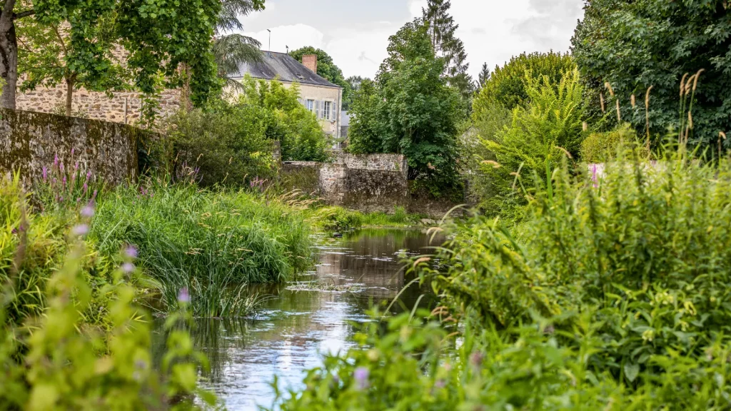 La Jouanne à Montsûrs