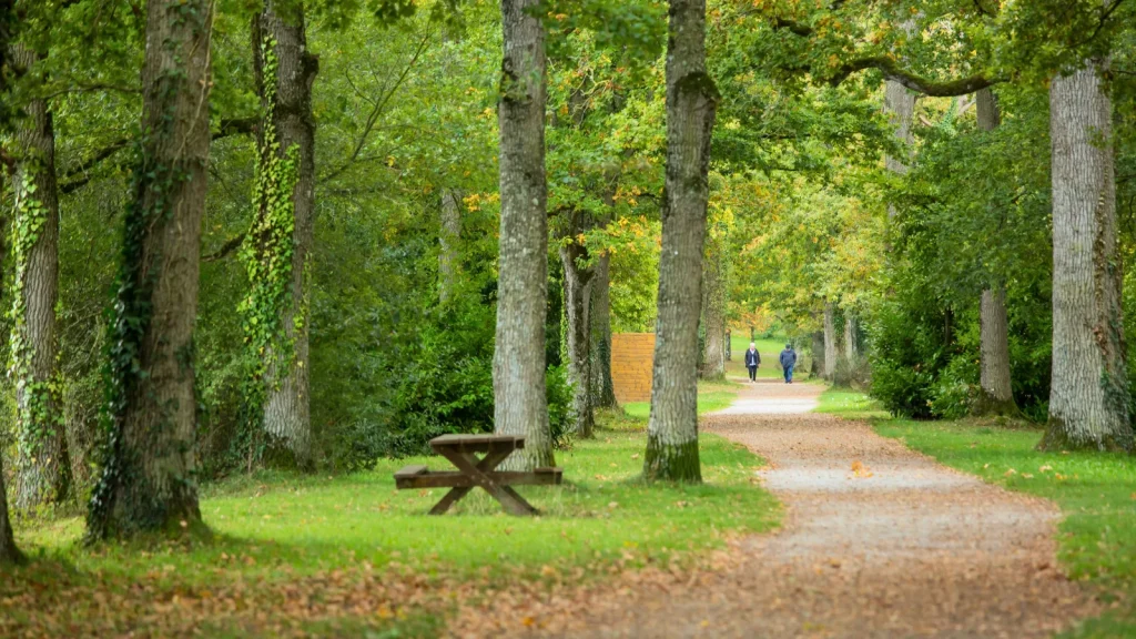 Table de pique-nique à l'Etang du Gué de Selle