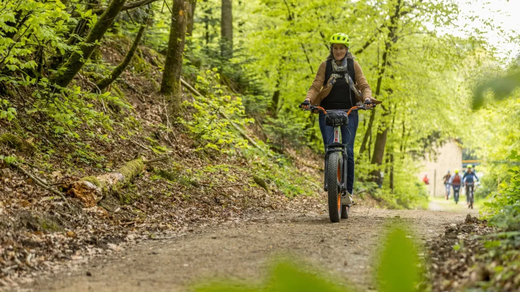 Trottinettes électriques tout-terrain Bois du Tay