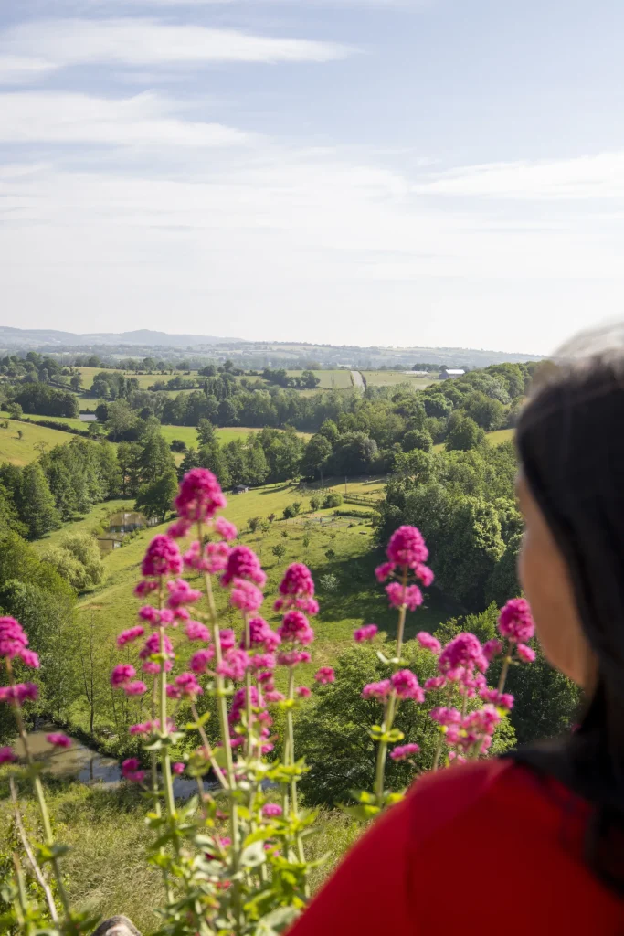 Vue sur les collines des Coëvrons