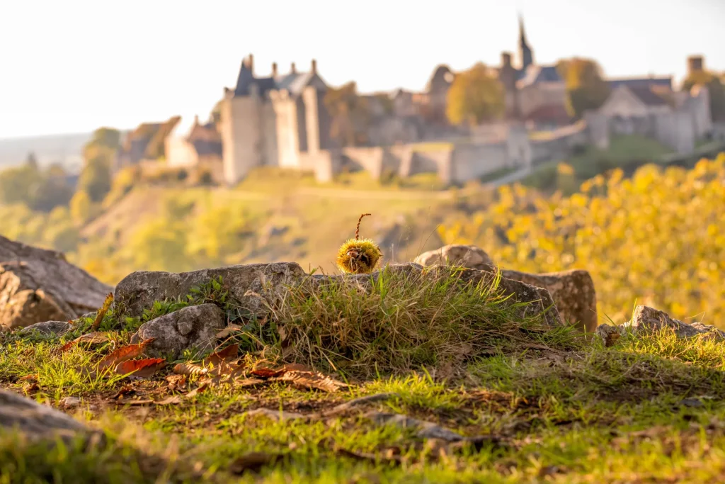 Tertre Ganne en automne