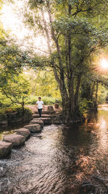 Pas japonais à Saulges