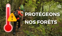 Protégeons nos forêts