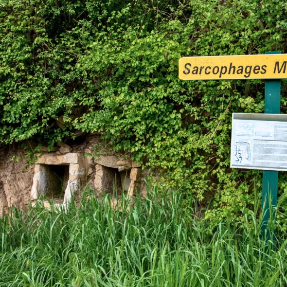 Sarcophages mérovingiens de Saulges