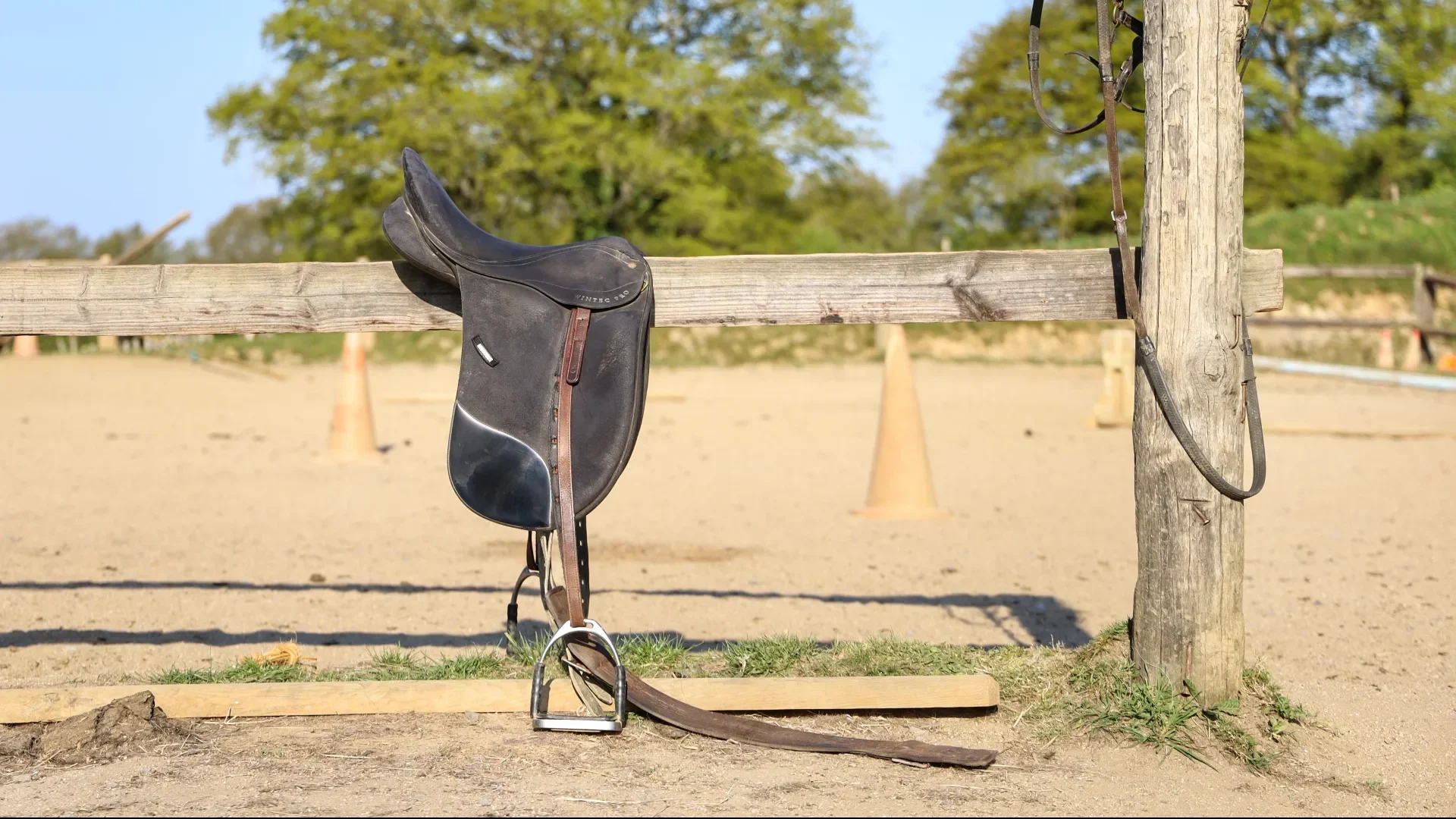 Le Haras de la Chapellerie à Thorigné-en-Charnie