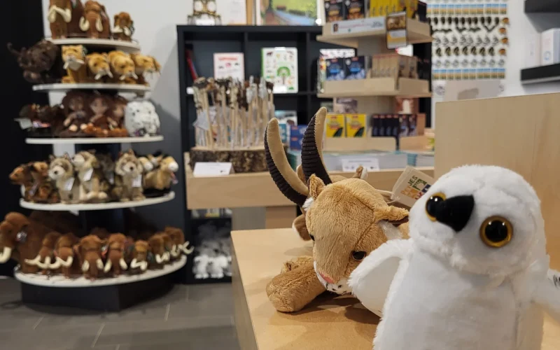 Musée de Préhistoire